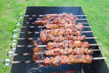 Barbecue meat on skewers