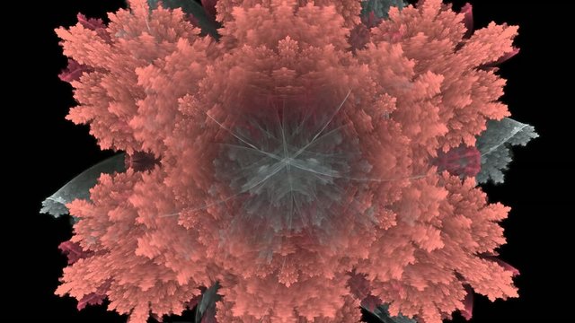 Symmetrical flower - fractal art design