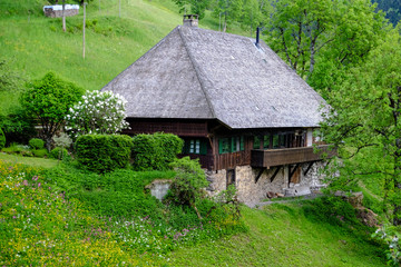 Fototapeta na wymiar Historisches Schwarzwaldhaus mit Walmdach aus Holzschindeln