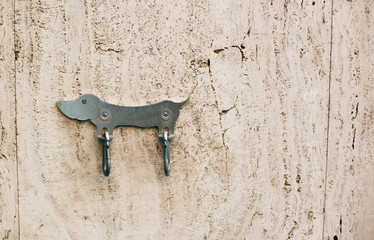 stuff for dog`s lead on wall