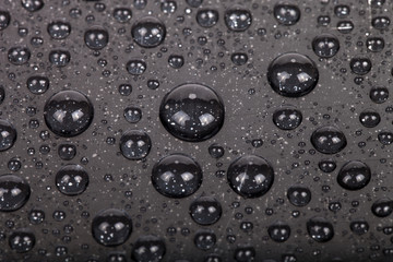Drops of water on a color background. Gray. Shallow depth of fie