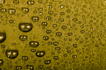 Drops of water on a color background. Green. Shallow depth of fi