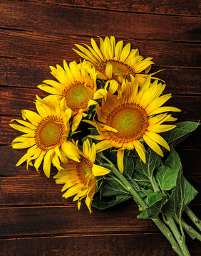 sunflowers on a wooden background