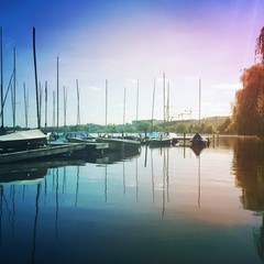 Fototapeta premium sunshine