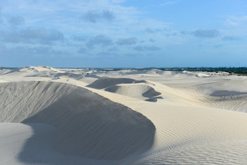 White sand dunes of Nilgen Nature Reserve