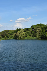 sea and mountain into the green  wallpaper background