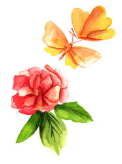 A vintage-styled watercolor drawing of a rose and a butterfly