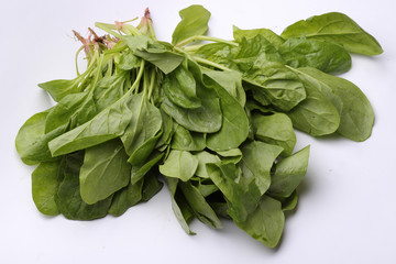 Green spinach on a white background