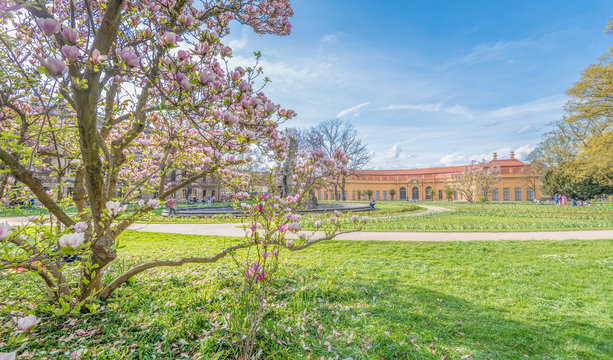 Orangerie Schlossgarten Erlangen im Fr&uuml;hling