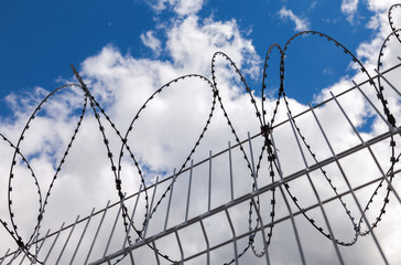 Barbed wire on blue sky background