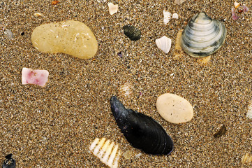Sea sand texture