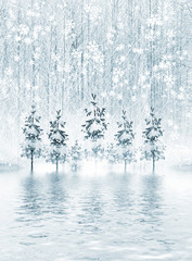 Fototapeta na wymiar Winter Forest. Winter landscape.