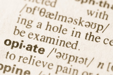 Dictionary definition of word op[iate