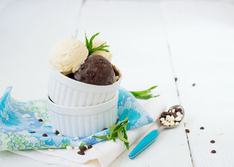 Vanilla and chocolate ice cream on a white background