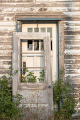 vertical image of an old broken door leaning against another door that is set into the wall of an old exterior building with tall grass growing around it in the summer time.