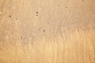 Sandy beach texture with copy space