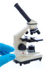 Hand in blue latex glove holds sample glass plate with blood sam