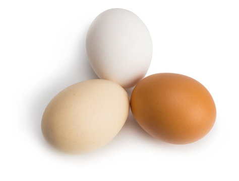 organic eggs of different colors