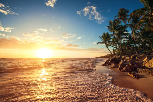 Fototapeta Palmy na tropikalnej plaży