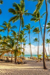Jamaica, beach, mauritius. - obrazy, fototapety, plakaty