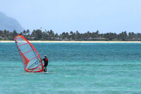 A windsurf on a tropical beach