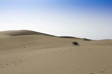 Fototapeta na wymiar dune