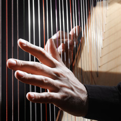 Harp strings closeup hands