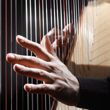 Harp strings closeup hands