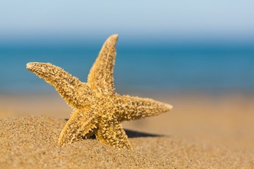 Sand, stars, beach.