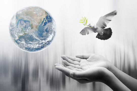 Hand bird and earth ,concept background , Elements of image are furnished by NASA
