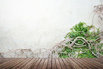 Vine on concrete wall and wood floor © zephyr_p