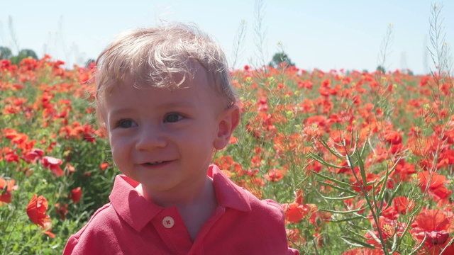 little baby boy posing on poppy fields