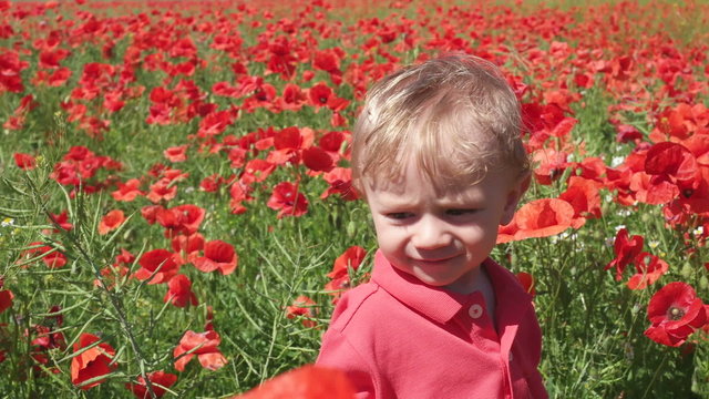 little baby boy posing on poppy fields