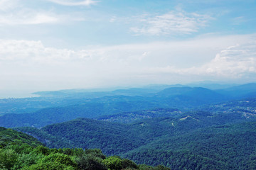 Fototapeta premium Wooded mountains. Neighborhoods the city of Sochi in Russia