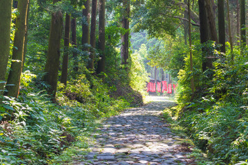 Stone pavement of Japan
