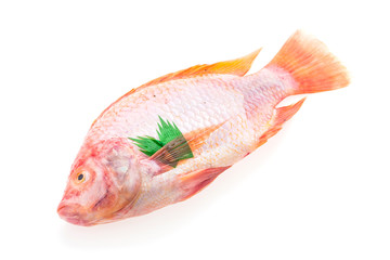 Raw fresh fish
