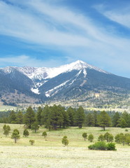 Fototapeta na wymiar Snowcapped Mountain