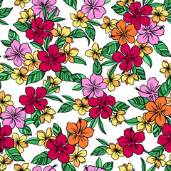 ハイビスカス パターン