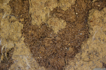 texture of dirty soil