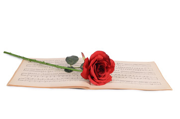 The rose on notebooks with notes