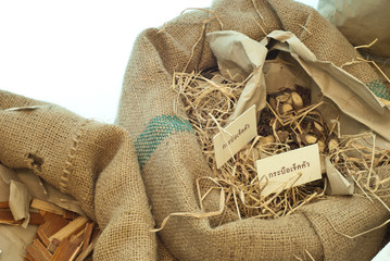 Chinese croton or Blindness tree, Thai herb © jirapong