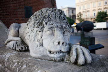 Fototapeta na wymiar Lion Sculpture at Town Hall Tower in Krakow