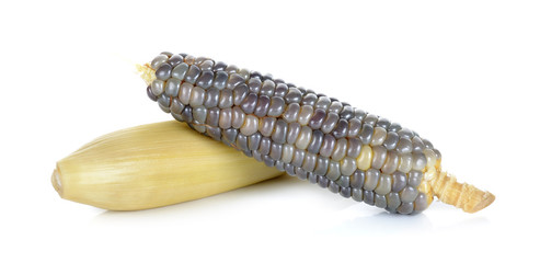 Corn isolated on the white background