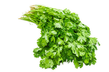 Bundle of coriander