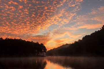 Sunrise at Pang-ung, pine forest park , Mae Hong Son, North of Thailand, edit warm tone