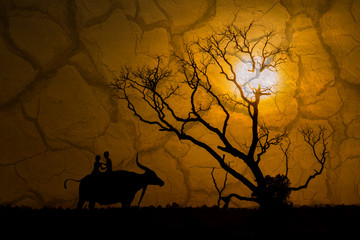 silhouette of children on buffalo's back and tree dead dry durin