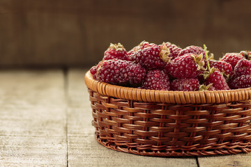 Tayberry a hybrid of raspberries and blackberries in wicker basket
