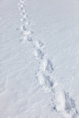 traces of human feet in deep snow