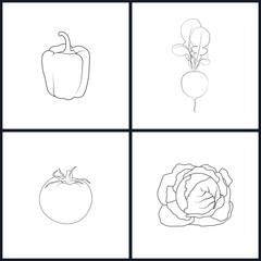 Icons Pepper, Radish,Tomatoes,Cabbage