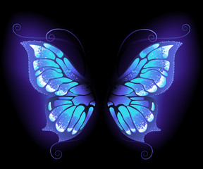 glowing butterfly wings